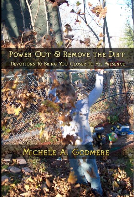 Book - Power Out and Remove The Dirt